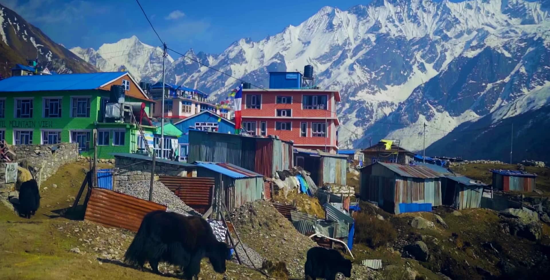 At Langtang Valley Trekking 2023